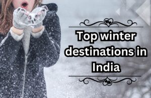 india-wander-lust-winter-destination