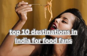 fan-food-in-india-wander-lust